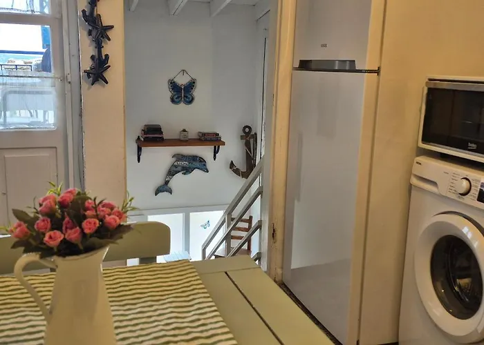 Kelebek Ayvalik Ayvalı