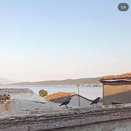Kelebek